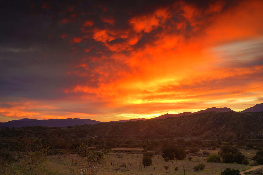 Sunset Clouds on Fire Photograph by Lindsay Thomson