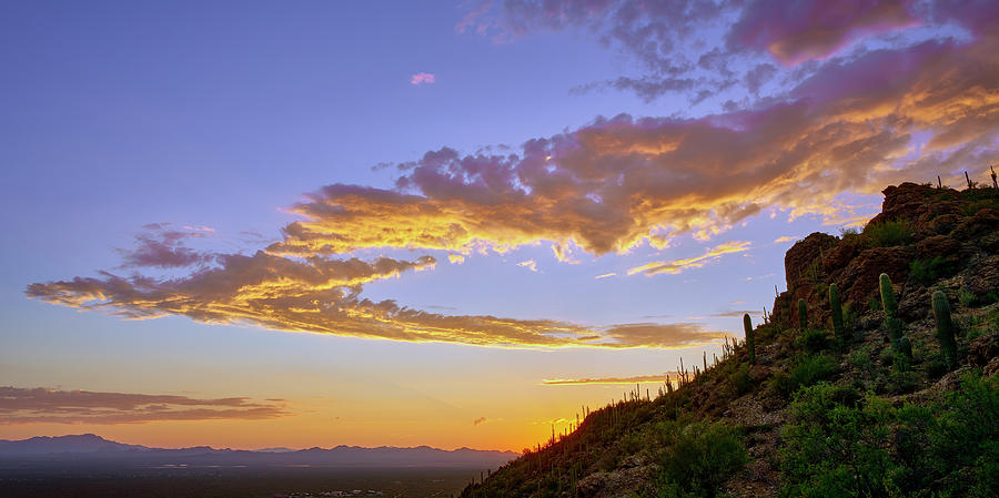 Sunset Clouds Over Gates Pass Cacti Photograph by Chris Anson