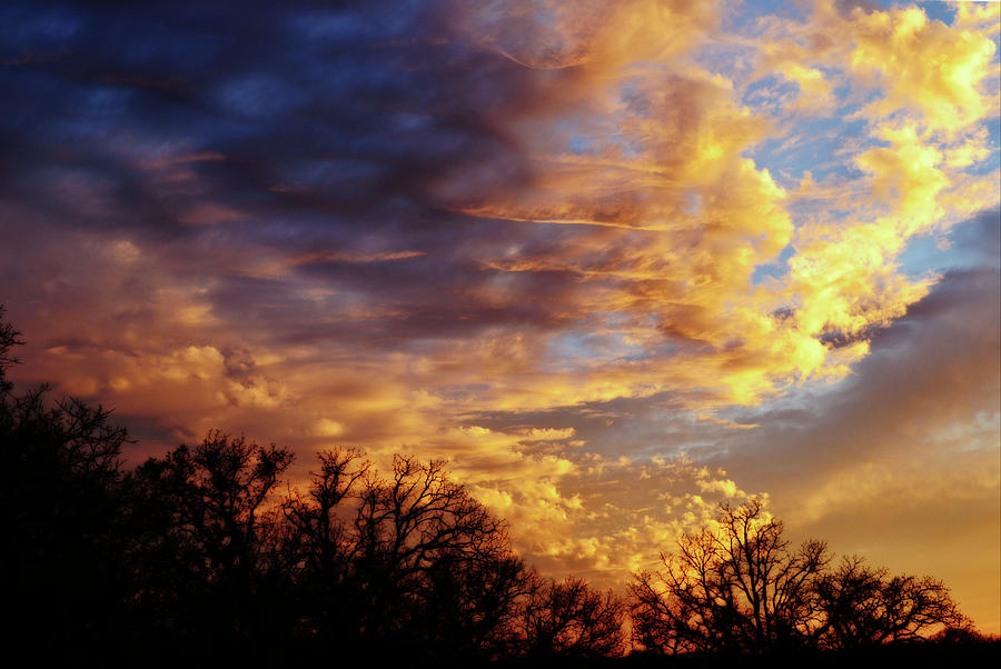 Sunset Clouds over Oaks Photograph by Gaby Ethington