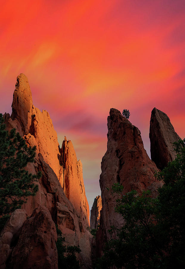 Sunset Colors Garden of The Gods Photograph by Dan Sproul
