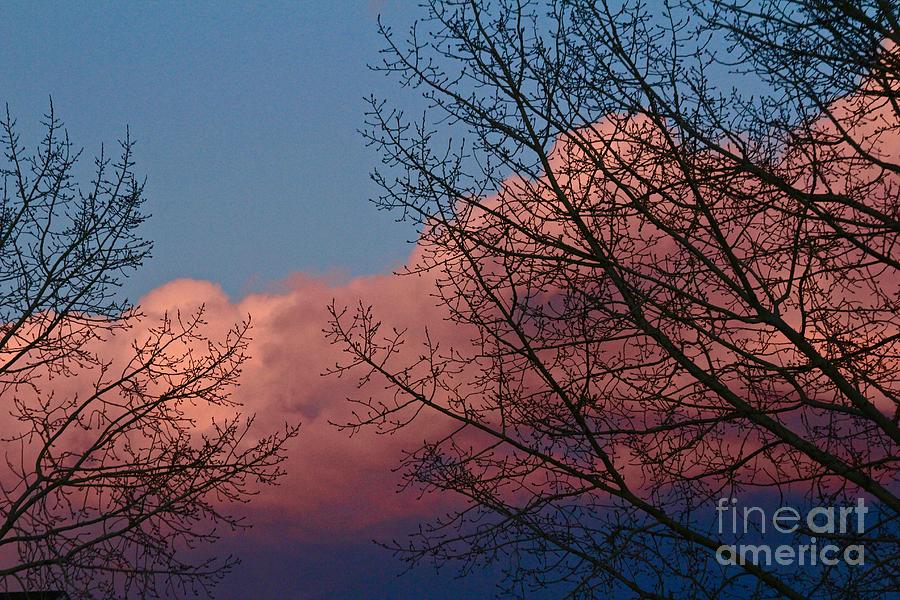 Sunset Colour Reflection Photograph by Ann E Robson