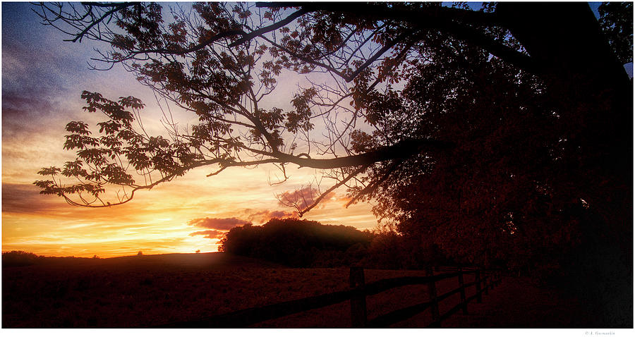 Sunset, Country Meadow Photograph by A Macarthur Gurmankin