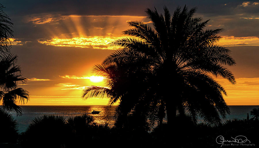 Sunset Cruise Photograph by Susan Molnar