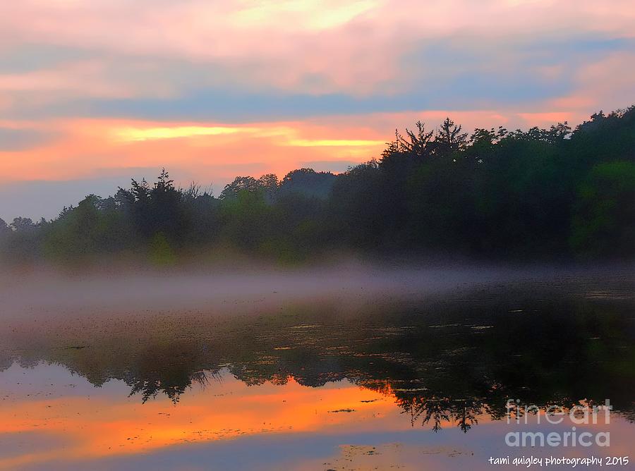 Sunset Dreams In The Mist Photograph by Tami Quigley