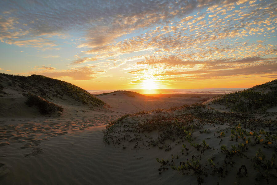 Sunset Dunes in Morro Bay Photograph by Matthew DeGrushe