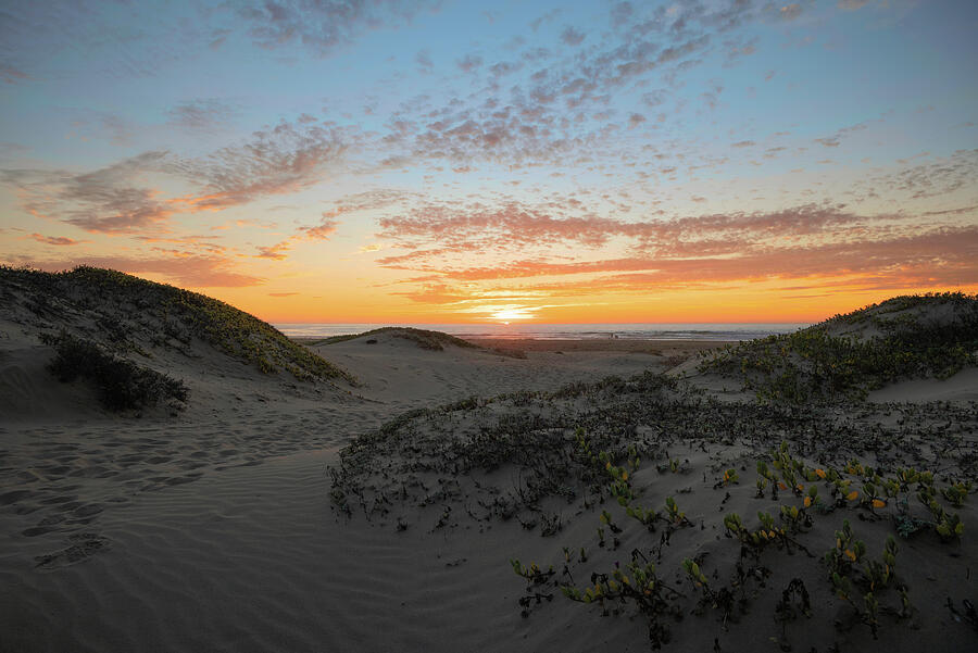 Sunset Dunes Photograph by Matthew DeGrushe