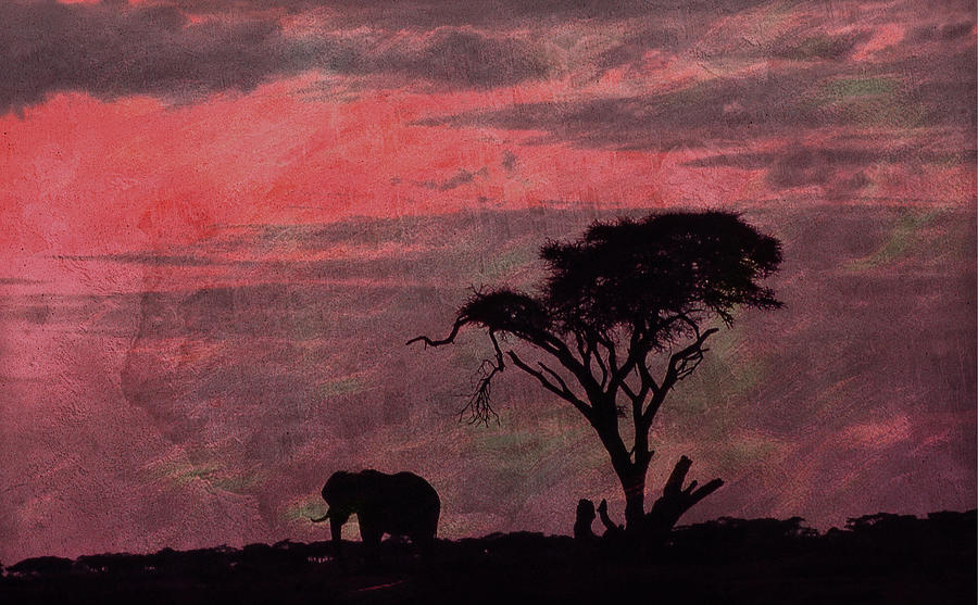 Sunset Elephant Digital Art by Russ Considine