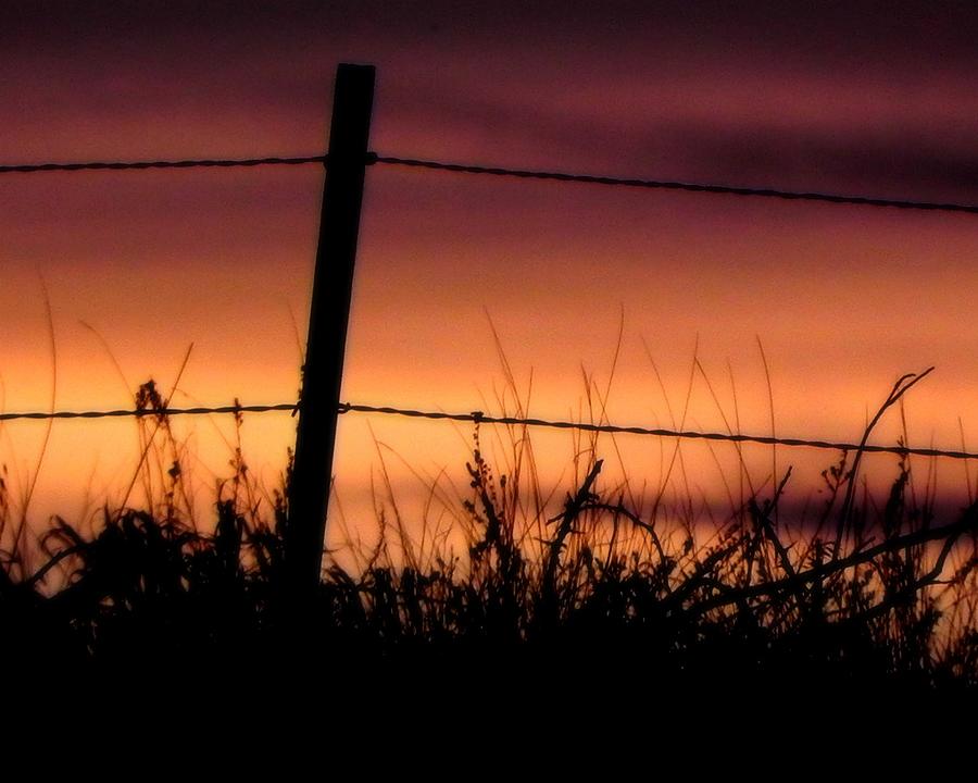 Sunset Fence Photograph by Amanda R Wright
