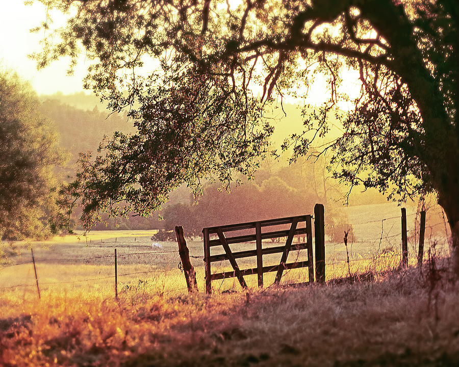 SUNSET FENCE, Sierra Foothills, California Photograph by Don Schimmel