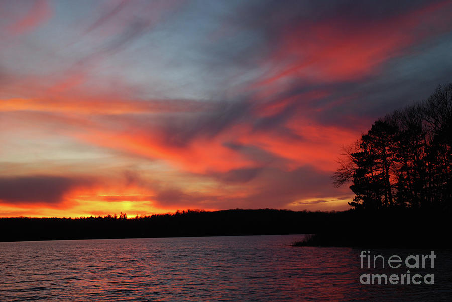 sunset Fire Photograph by Sharon Molinaro