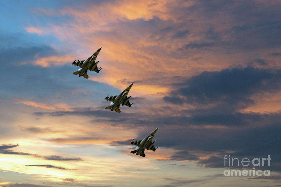 Sunset Flight Photograph by Bob Hislop