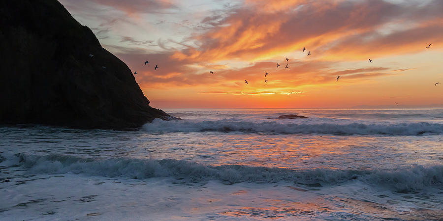 Sunset Flight Dana Point Photograph by Cliff Wassmann