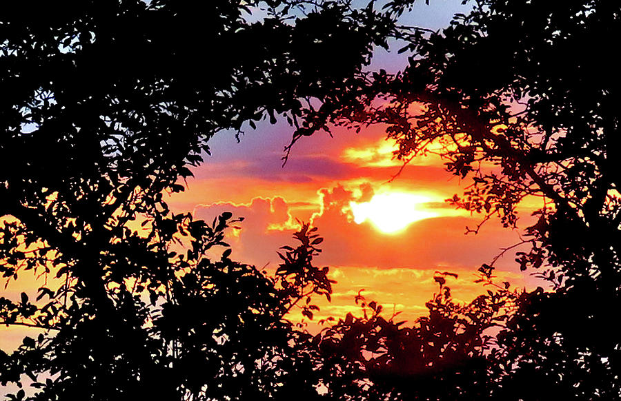Sunset Framed by Nature Photograph by Linda Stern