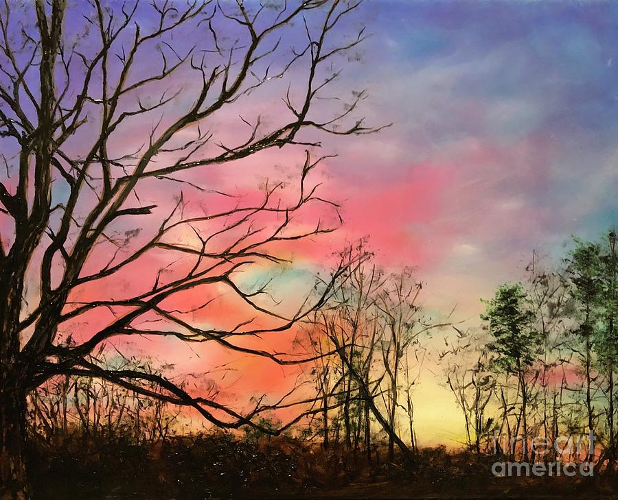 Sunset Painting - Sunset From My Front Yard by Diane Donati