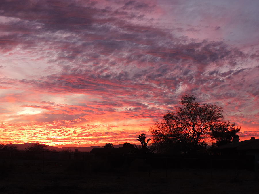 Sunset From My Yard, Littlerock, CA 11-14-2019 C Photograph by Enaid Silverwolf