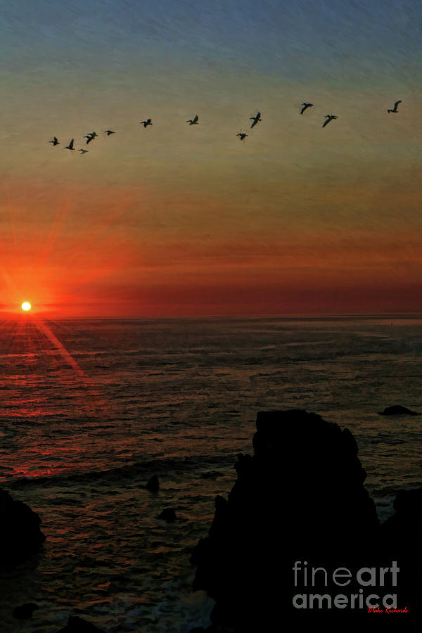 Birds Sunset From Point Bonita Lighthouse Photograph by Blake Richards
