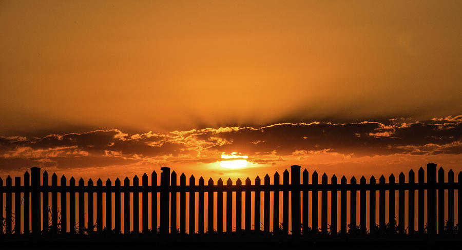 Sunset Photograph - Sunset from the front fence by Leigh Henningham Sunset Photograph - Sunset from the front fence by Leigh Henningham