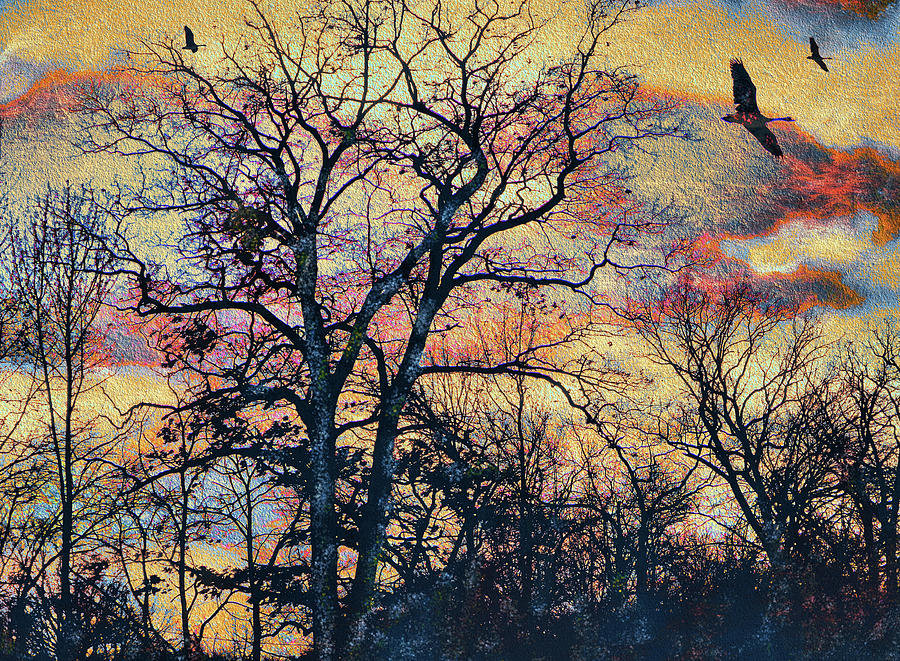 Sunset Geese Mixed Media by Natalie Holland