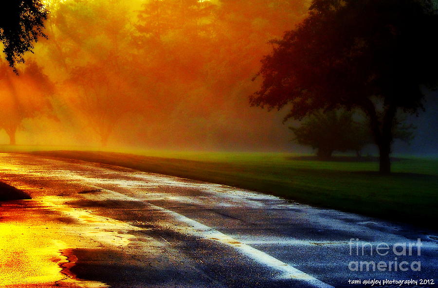 Sunset Glint In The Mist Photograph by Tami Quigley