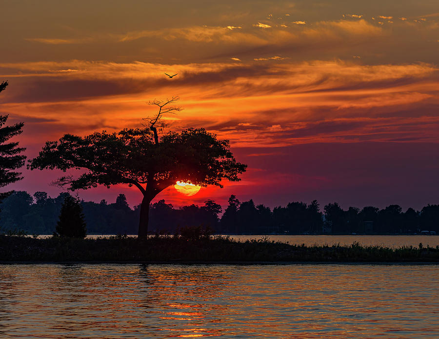 Sunset glow Photograph by Joe Holley