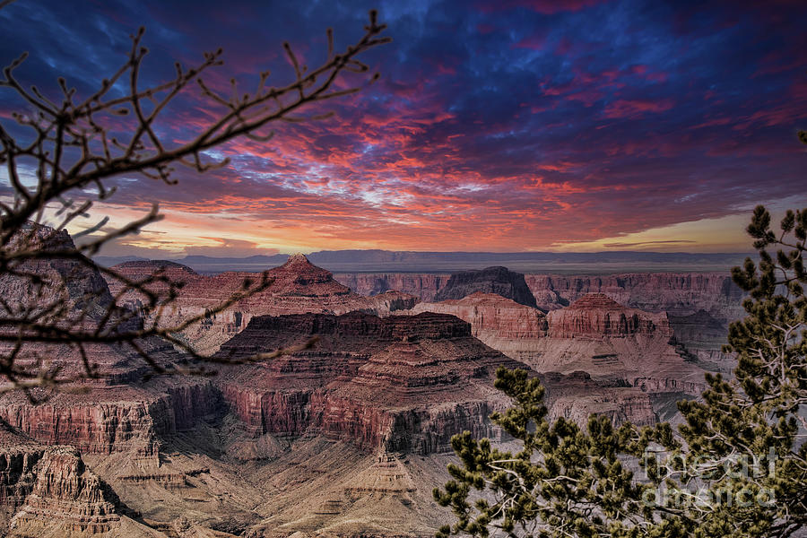 Sunset Grand Canyon Superb Photograph by Chuck Kuhn