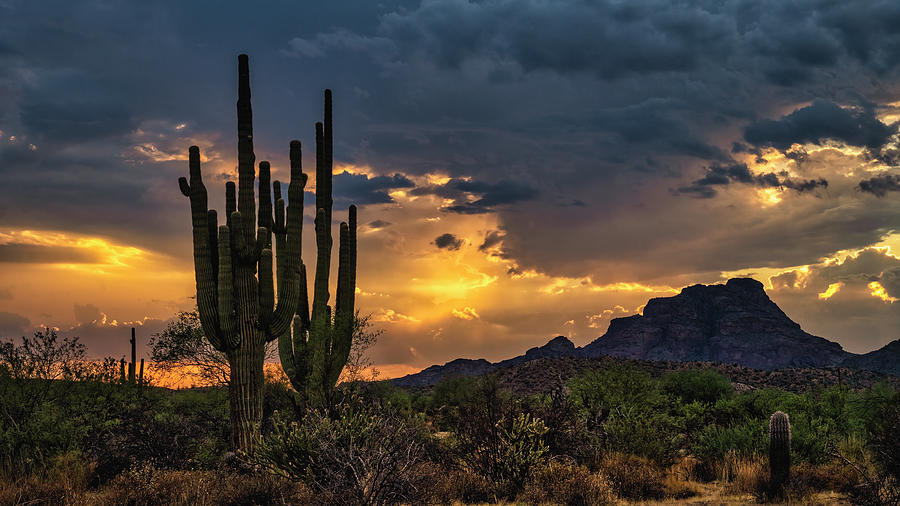 Sunset Hour In The Sonoran Photograph by Saija Lehtonen - Fine Art America