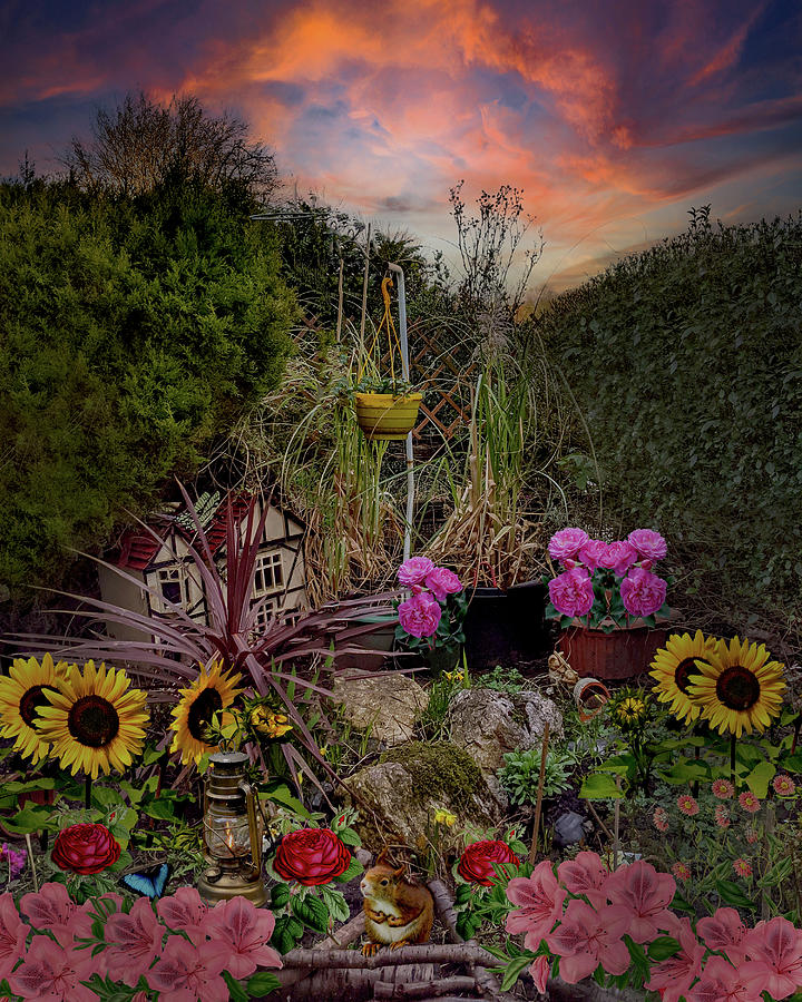 Sunset in Abbies Garden Photograph by Alison Frank