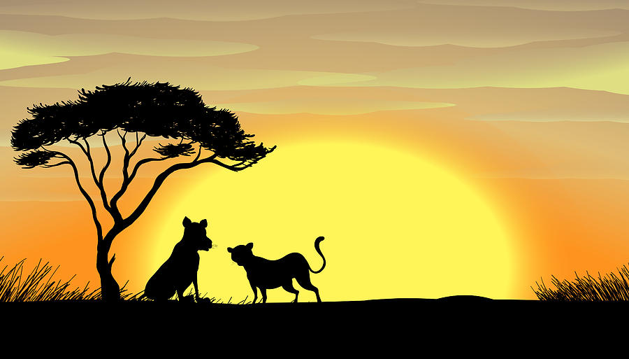 Sunset in africa Drawing by Colematt