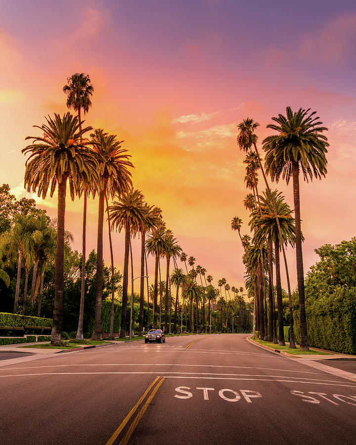 Sunset in Beverly Hills Photograph by Serge Ramelli