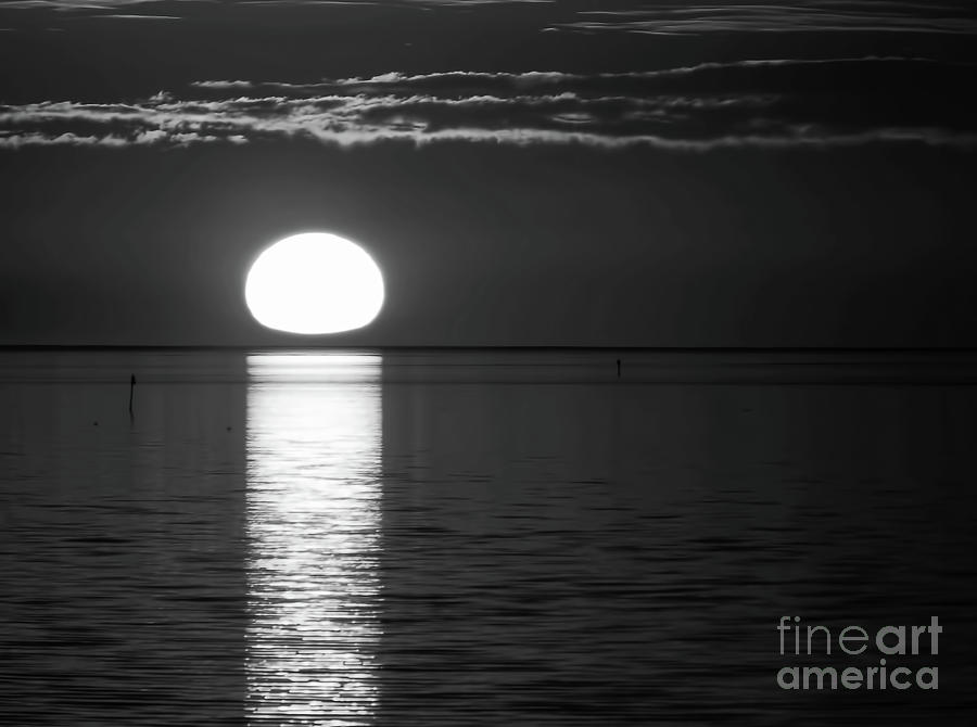 Sunset In Black and White Photograph by D Hackett
