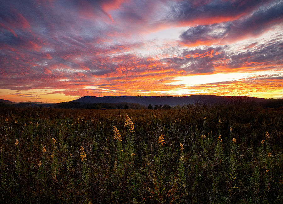 Sunset in Canaan Valley Photograph by Jaki Miller