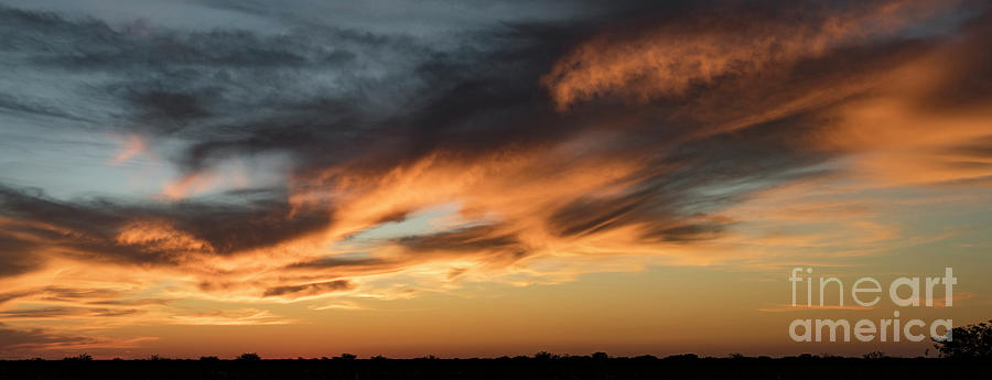 Sunset Photograph - Sunset in Etosha  by Tony Camacho