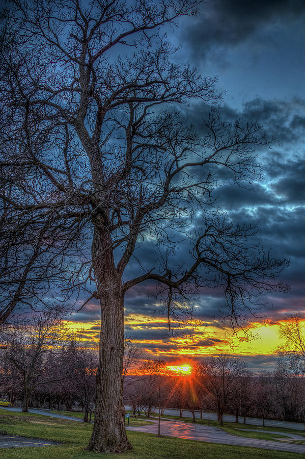 Sunset in Dellwood Park, Lockport, Illinois Photograph by David Morehead