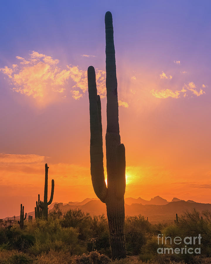 Sunset In Lost Dutchman State Park Photograph
