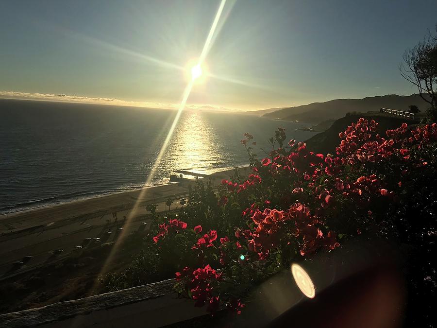 Sunset In Malibu Photograph by Lisa White