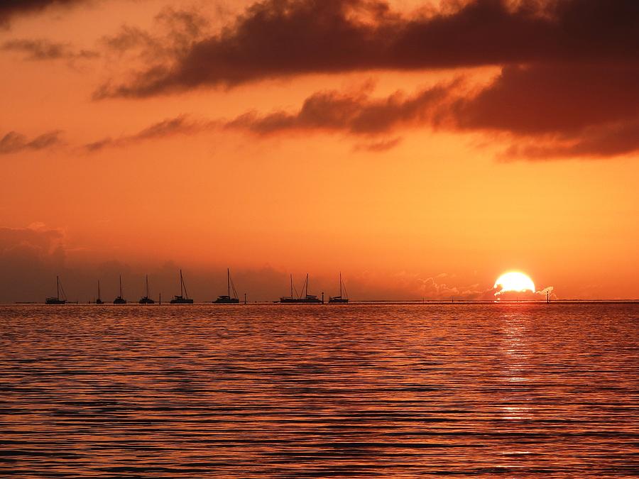 Sunset In Moorea Photograph
