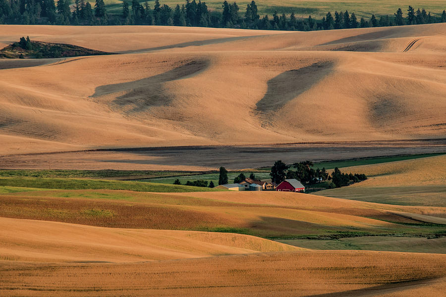 Sunset in Palouse Photograph by Connie Carr