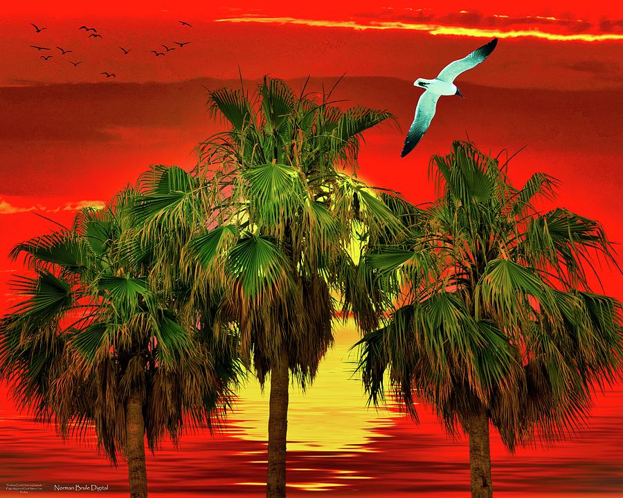 Sunset in Paradise Digital Art by Norman Brule