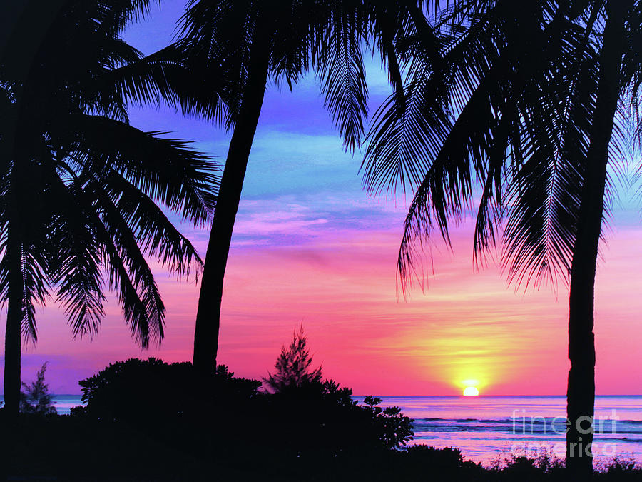 Sunset in Paradise Photograph by Scott Cameron