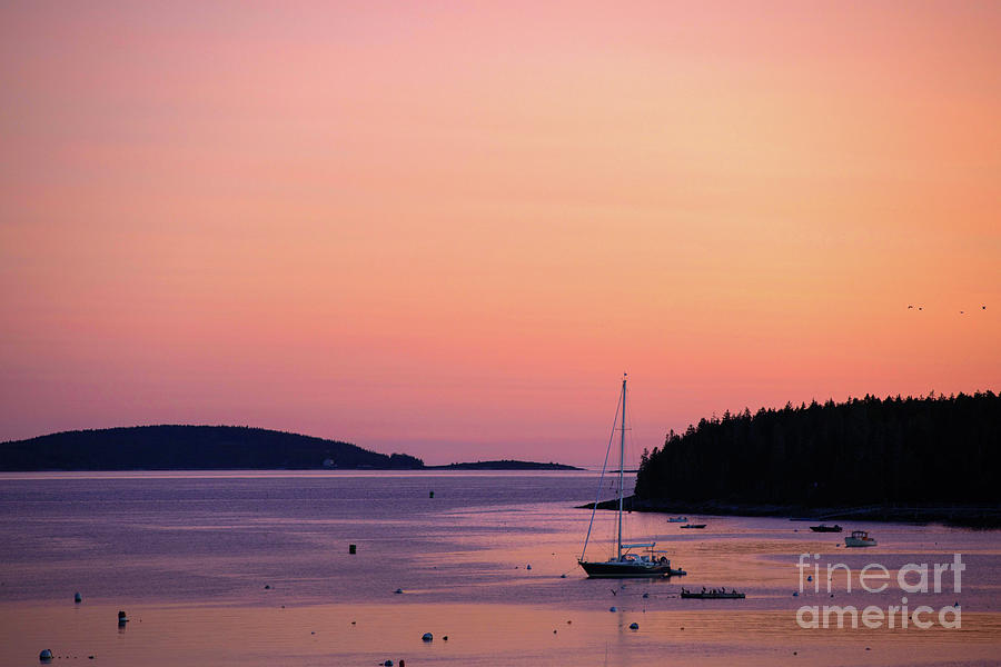 Sunset Photograph - Sunset in Port Clyde Harbor by Diane Diederich
