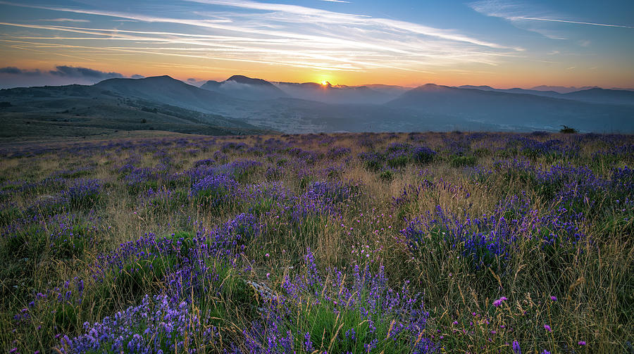 Sunset in provence hills and wild lavender. Photograph by Jean-Luc Farges