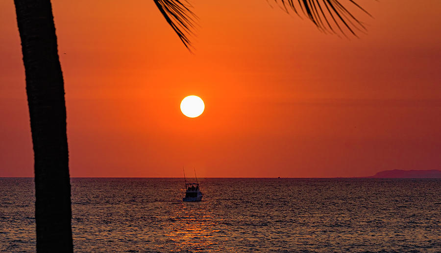 Sunset in Puerto Vallarta Photograph by Tommy Farnsworth