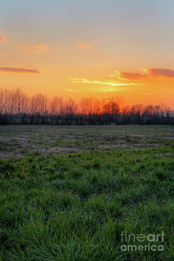Sunset in the countryside vertical Photograph by The P