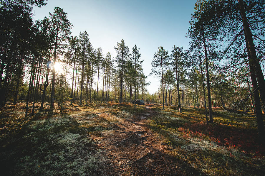 Sunset In The Finnish Wilderness Photograph
