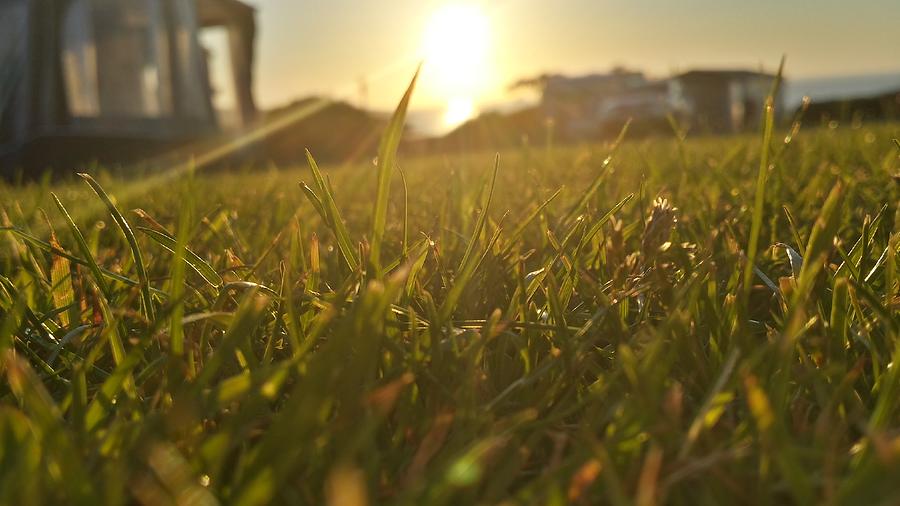 Sunset In The Grass Photograph by Joelle Philibert