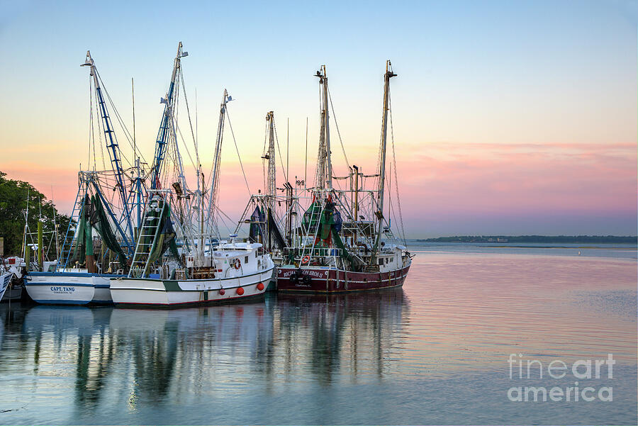Sunset in the Harbor Photograph by Shelia Hunt