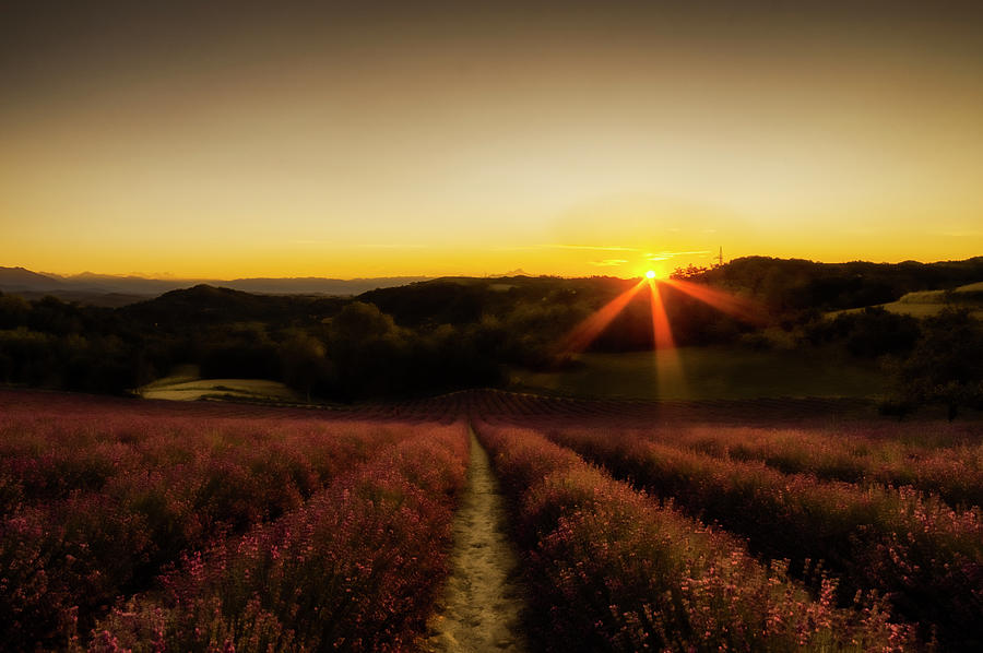 Sunset in the hills Photograph by Rita Di Lalla