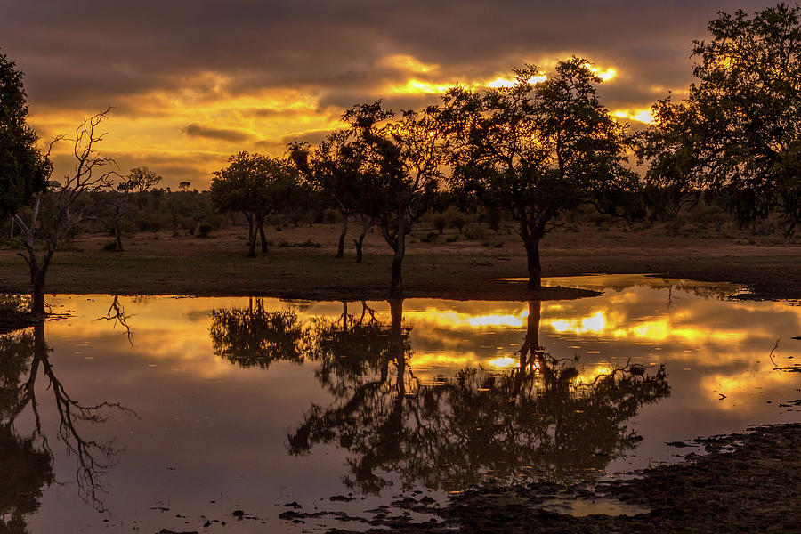 Sunset in the KNP Photograph by MaryJane Sesto