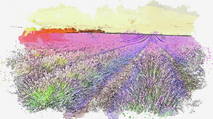 Sunset in the lavender, ca 2021 by Ahmet Asar, Asar Studios Painting by Celestial Images