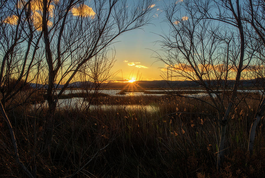 Prat Photograph - Sunset In The Natural Park Of Prat De Cabanes by Vicen Photography Prat Photograph - Sunset In The Natural Park Of Prat De Cabanes by Vicen Photography